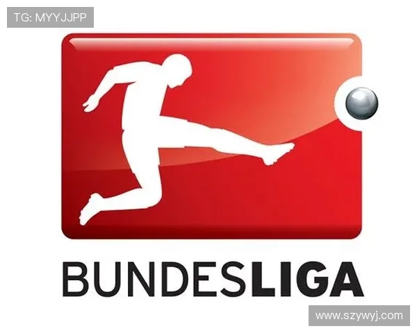 2010赛季德甲球队队标及变迁趋势解析 2010赛季德甲球队队标及变迁趋势解析