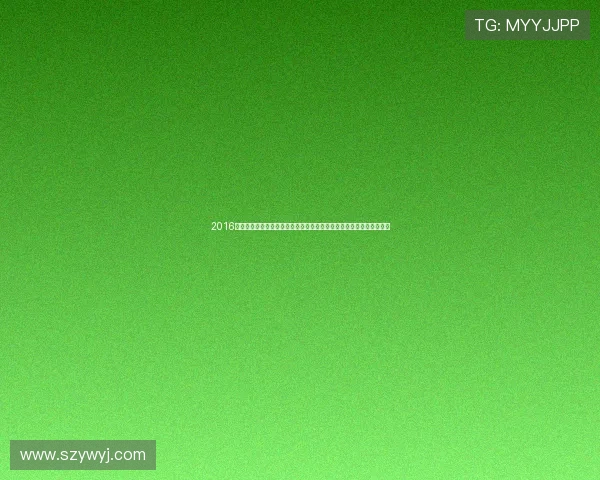 2016年黄蜂与热火季后赛第三场激战回顾：关键时刻的精彩对决与胜负悬念